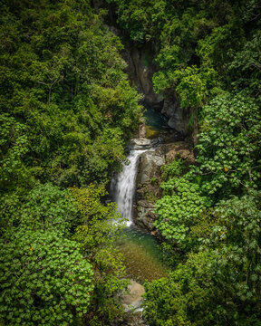 Aerial view of Jima Falls cascading into a clear pool surrounded by lush tropical rainforest and dense green vegetation in Bonao, Monsenor Nouel Provin, Dominican Republic.