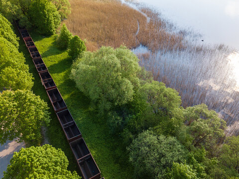 Aerial view of a line of empty freight train wagons parked alongside the lush green trees and reeds of Rekyva Lake in Siauliai, Siauliai County, Lithuania.