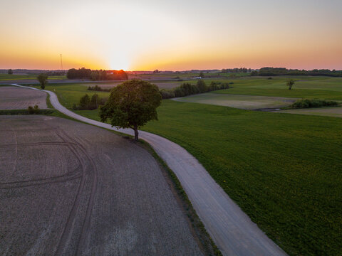 Aerial view of a winding dirt road passing a solitary tree amidst vast green fields and agricultural land during a golden sunset in Kukeciai, Siauliu apskritis, Lithuania.