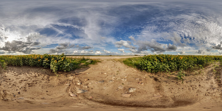 full seamless spherical hdri panorama 360 by 180 degrees angle view on gravel road near sunflowers fields in sunny summer evening in equirectangular projection, skybox VR AR virtual reality content