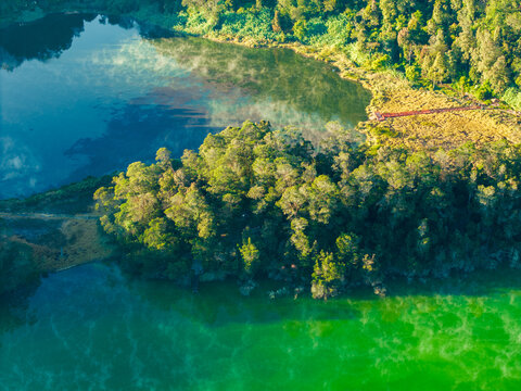 Aerial view of Telaga Warna lake with vibrant green and blue waters, surrounded by lush forest and a wooden walkway in the morning light Kejajar, Central Java, Indonesia.
