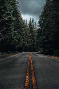 View of a winding asphalt road flanked by dense evergreen trees under a moody overcast sky in Vancouver, British Columbia, Canada.