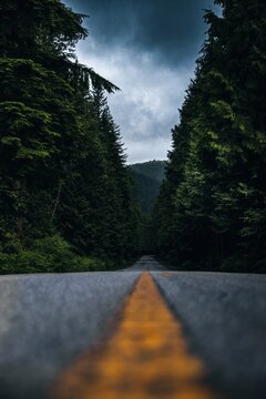 View of a paved road with a yellow center line stretching through a dense evergreen forest under a moody, overcast sky in Vancouver, British Columbia, Canada.