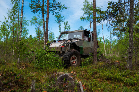 View of a custom off-road vehicle driving through a dense forest with birch trees and lush undergrowth in the Ladoga region, Sortavala, Respublika Kareliya, Russia.