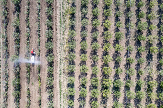 Karaman, Karaman, Turkiye - 22 April 2023: Aerial view of a tractor spraying an orchard with rows of fruit trees in a rural agricultural landscape.