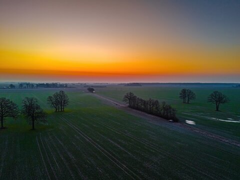 Aerial view of agricultural fields at sunrise with rows of trees and golden light over the rural landscape in Riga, Latvia.