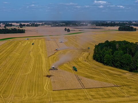 Aerial view of combine harvesters working in a golden wheat field with dust clouds rising during the summer harvest in Riga, Latvia.