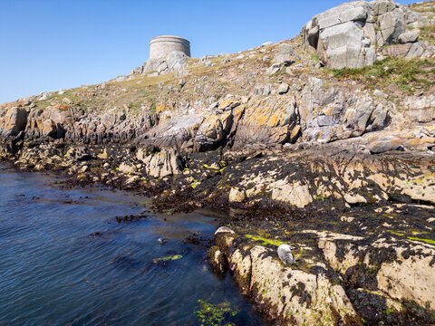 Aerial view of Dalkey Island featuring the historic Martello tower perched on rocky cliffs above the sea with a seal resting on the shore in Dublin, County Dublin, Ireland.