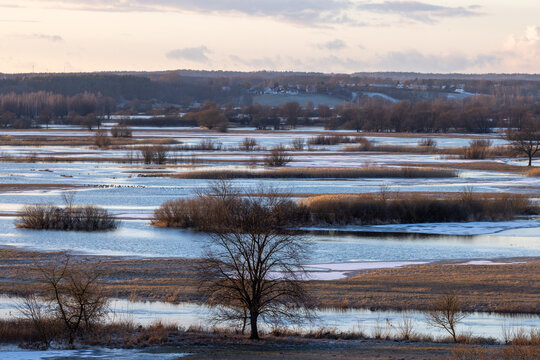 View of the Biebrza river valley with wetlands, patches of ice, and bare trees in Podlaskie Voivodeship, Poland.