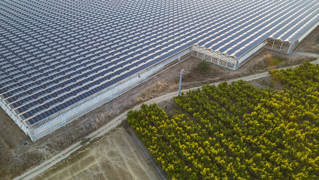Aerial view of large photovoltaic solar panels covering agricultural greenhouses beside orchards in Saulce-sur-Rhone, Auvergne-Rhone-Alpes, France.