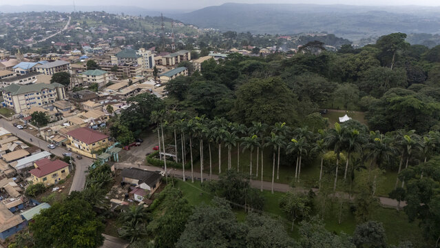 Aerial view of the lush Aburi Botanical Gardens and Park with tall palm trees and dense greenery adjacent to the urban landscape of Aburi, Eastern Region, Ghana.