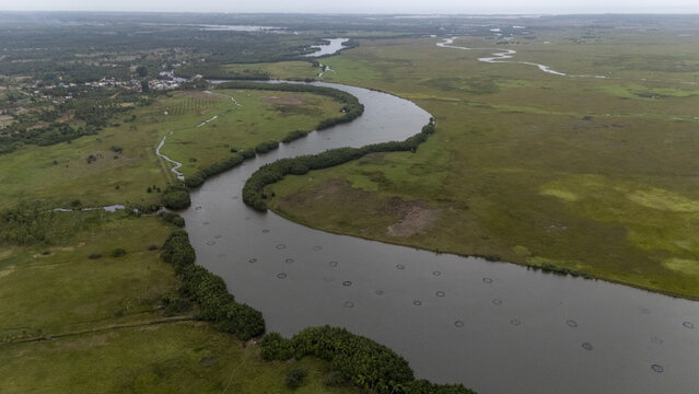Aerial view of the winding river and lush wetlands of Gogotinkpon with circular fish traps in the water in Kpomasse, Mono, Benin.