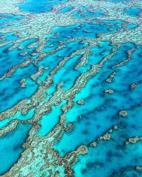 Aerial view of the Great Barrier Reef with vibrant coral formations and turquoise waters near Airlie Beach, Queensland, Australia.