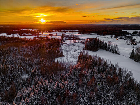Aerial view of snow-covered coniferous forest and frozen fields illuminated by the warm golden light of a setting sun, Vidzeme, Latvia.