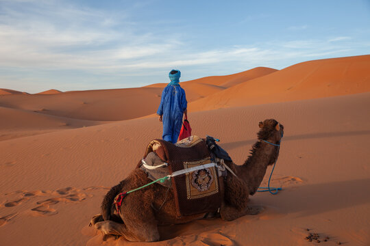 View of a person wearing a traditional blue djellaba and turban standing near a resting camel in the vast orange sand dunes of the Sahara desert in Morocco.