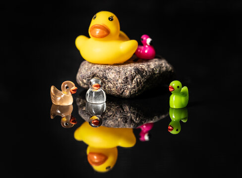 Photo of multiple diverse toy rubber duck and miniature ducks dark black mirror reflection surface.