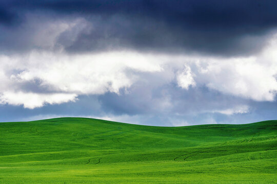 Landscape of panorama of rolling hills of grass, pasture, with storm clouds in sky