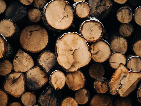 Stacked wooden logs cut surface texture background in winter. Deforestation and timber industry supply concept.