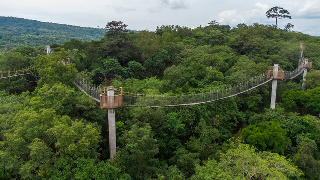 Akosombo, Eastern Region, Ghana - 11 September 2022: Aerial view of the canopy walkway at The Peninsula Resort, with suspended bridges and concrete pillars set in a lush green forest.