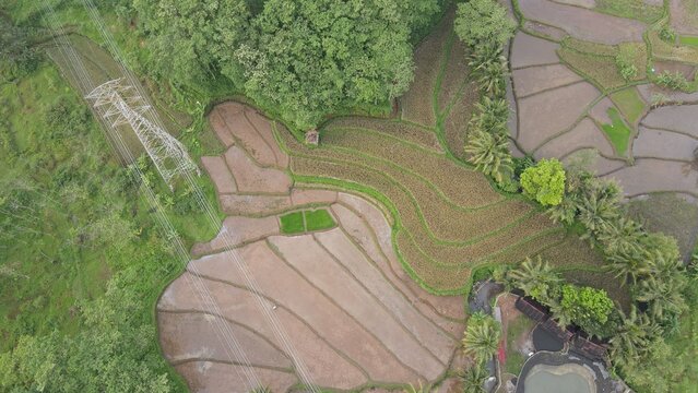Bandungan, Indonesia - 09 April 2021: Aerial view of terraced rice fields surrounded by lush green trees and a power line tower in the rural landscape of Central Java.