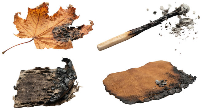 A set of charred everyday items and natural material pieces with burnt edges, ash, and scorched textures.