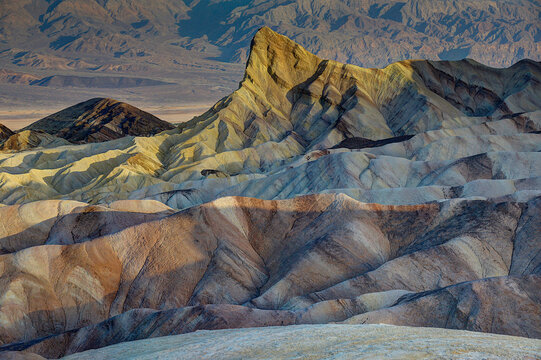 View of the colorful, eroded badlands of Death Valley National Park, featuring dramatic golden and tan ridges under soft light in Death Valley, California, United States.