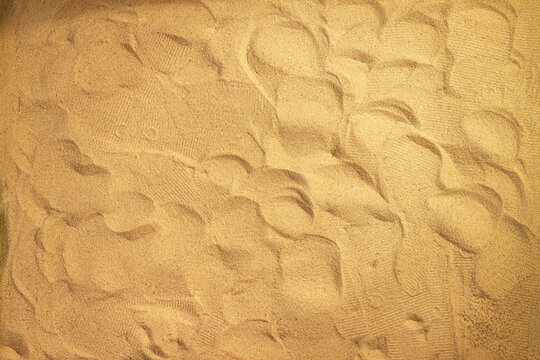 Trampled down sand on the beach with copy space for text. Sand texture close up. Horizontal background pattern of sand beach