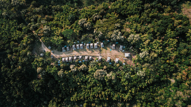 Aerial view of Kampung Adat Belaraghi, a traditional village nestled in dense forest with rows of thatched roof houses and a dirt path in Kecamatan Aimere, Nusa Tenggara Timur, Indonesia.