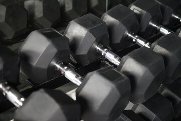 Obraz premium Rows Of Dumbbells In The Gym