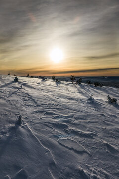 Aerial view of Yllas fell covered in deep snow with long shadows cast by sparse trees under a golden sunset in Kolari, Lapland, Finland.