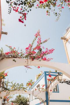 Las Palmas, Spain - 17 July 2025: View of the charming white architecture of Puerto de Mogan adorned with vibrant pink bougainvillea flowers under a clear blue sky.