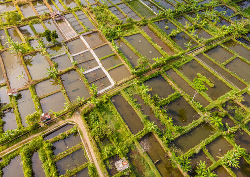 Aerial view of Karangnangka fish ponds surrounded by lush green vegetation and small huts in Kedungbanteng, Central Java, Indonesia.