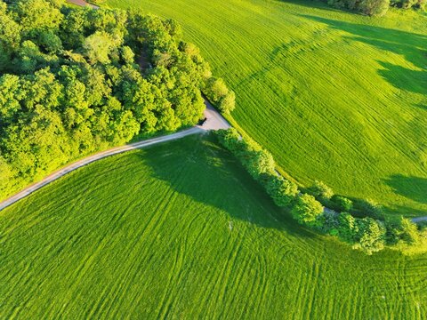 Aerial view of the Rhon Mountains landscape featuring lush green fields, dense forest patches, and a winding country road illuminated by golden hour light in Fulda, Hessen, Germany.