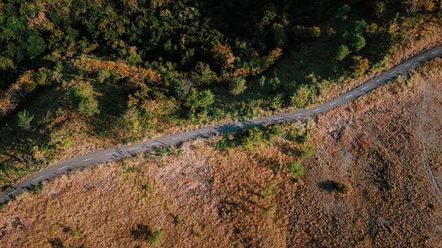 Aerial view of a winding asphalt road cutting through a landscape of dry golden grass and dense green forest in Aimere, East Nusa Tenggara, Indonesia.