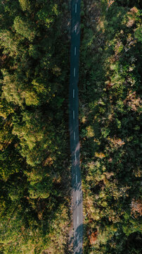Aerial view of a straight asphalt road cutting through a dense tropical forest with lush green trees in Aimere, East Nusa Tenggara, Indonesia.