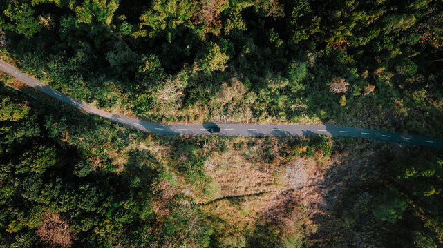 Aerial view of a car driving along a winding asphalt road through a dense tropical forest in Aimere, East Nusa Tenggara, Indonesia.