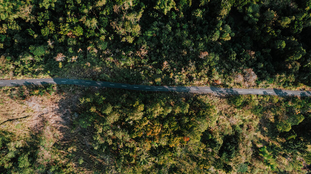 Aerial view of a winding road cutting through a dense tropical forest with lush green trees and patches of dry vegetation in Aimere, East Nusa Tenggara, Indonesia.