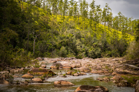 A quiet creek in the jungle in Eastern Belize, Central America