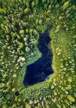 Aerial view of Neitokainen lake shaped like the map of Finland surrounded by dense coniferous forest in Kittila, Lapland, Finland.