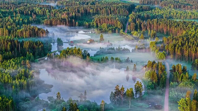 Aerial view of a dense pine forest surrounding a calm lake with morning mist and a small house in Latvia.