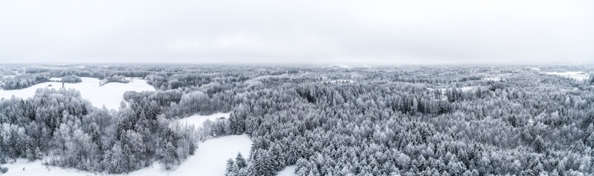 Aerial view of a vast snow-covered forest landscape with frost-laden trees and open white fields under an overcast winter sky in Latvia.