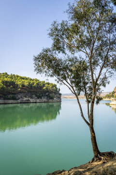 View of the turquoise waters of the reservoir at El Chorro, framed by a single tree on the rocky bank with pine-covered cliffs in the background in El Chorro, Andalusia, Spain.