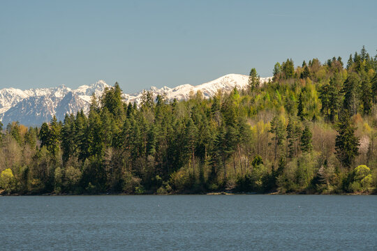 View of Orava Reservoir with the snow-capped High Tatras mountains rising above a dense coniferous forest in Trstena, Zilina Region, Slovakia.