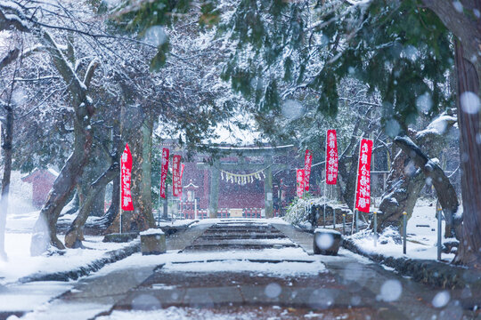 日本の風景・冬　埼玉　雪の小江戸川越　三芳野神社　参道