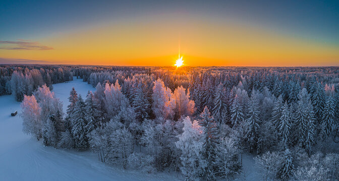 Aerial view of a snow-covered forest during a vibrant sunrise with golden light illuminating the frost-covered trees and a clear horizon in Latvia.