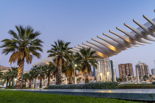 Malaga, Spain - 10 January 2020: View of Palmeral de las Sorpresas in Malaga port featuring palm trees and a modern white architectural pergola against a clear evening sky.