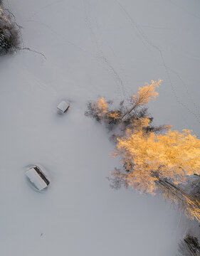 Aerial view of snow-covered landscape with golden sunlight hitting frost-covered trees and small wooden structures in a winter forest in Latvia.