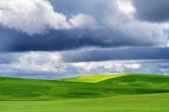 rolling hills of green grass fields with storm clouds