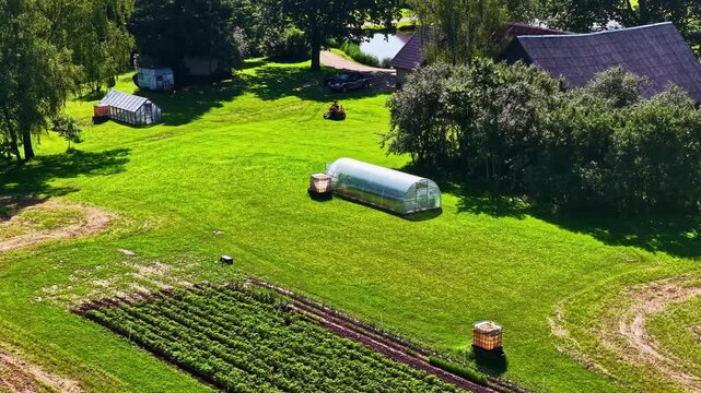 Aerial view of a lush green field featuring multiple greenhouses, vegetable rows, and surrounding trees in the countryside of Latvia.