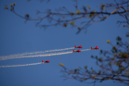 Druskininkai, Lithuania - 23 May 2026: View of three red stunt planes flying in formation with white smoke trails against a clear blue sky, framed by tree branches.